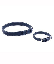  Dog Collar