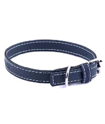 Dog Collar