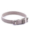 Dog Collar