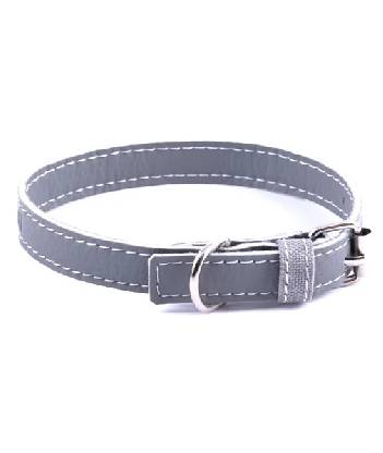 Dog Collar