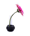 Single Flower Vase