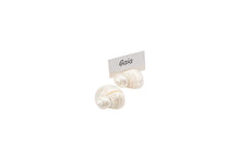  Seashell Placeholder