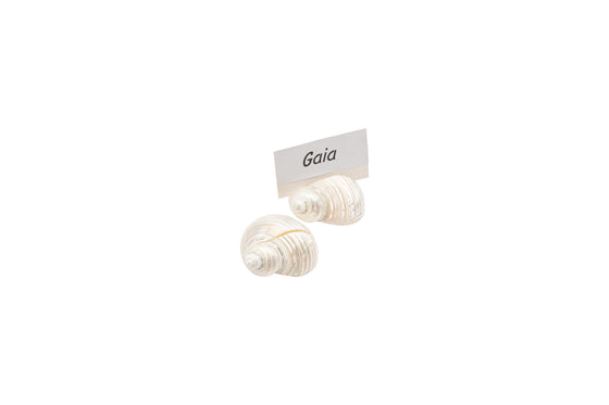 Seashell Placeholder
