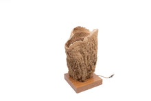  Lamp - Sea Sponge