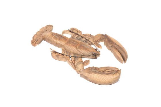 Beached wood subjects - Lobster