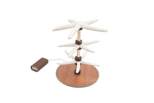  Starfishs - Lamp/Bijoux holder