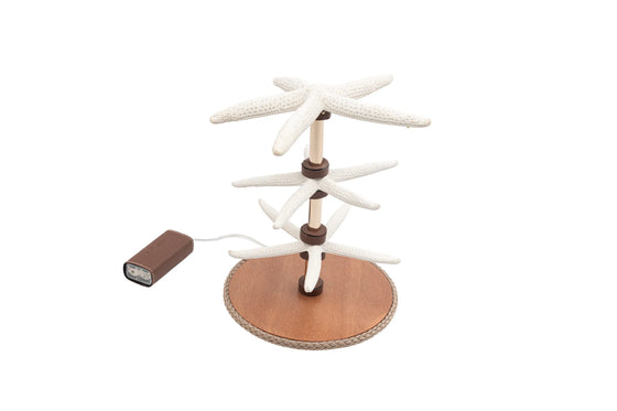 Starfishs - Lamp/Bijoux holder