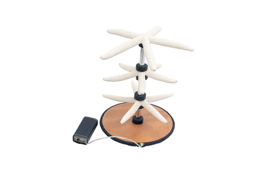 Starfishs - Lamp/Bijoux holder