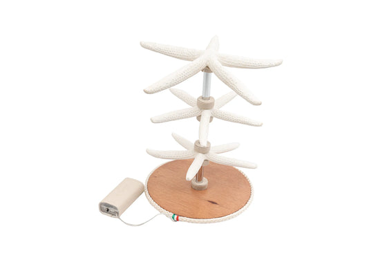 Starfishs - Lamp/Bijoux holder