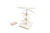 Starfishs - Lamp/Bijoux holder