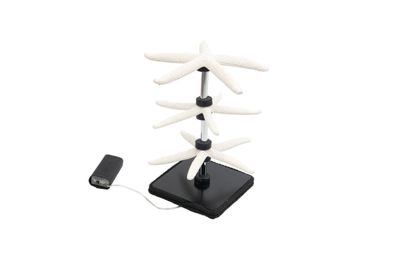 Starfishs - Lamp/Bijoux holder