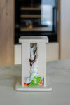Plastic bag container