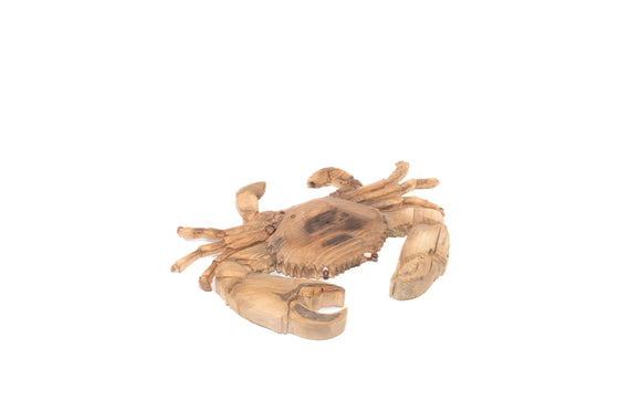 Beached wooden subjects - big crab