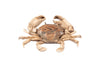 Beached wooden subjects - big crab