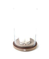 Candle Holder - Medium