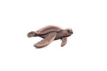  Beach Wood Turtle - Small