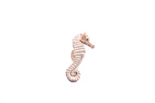  Beach Wood Seahorse