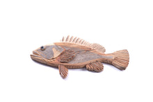  Beach Wood Grouper