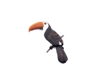  Beach Wood Toucan